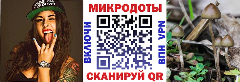 Псилоцибиновые грибы GOLDEN TEACHER  ссылка на мегу вход  Билибино 