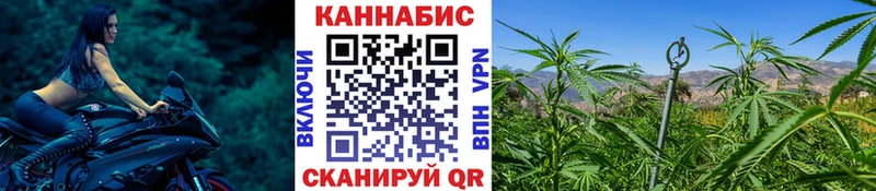 Каннабис AK-47  купить закладку  это телеграм  Билибино 